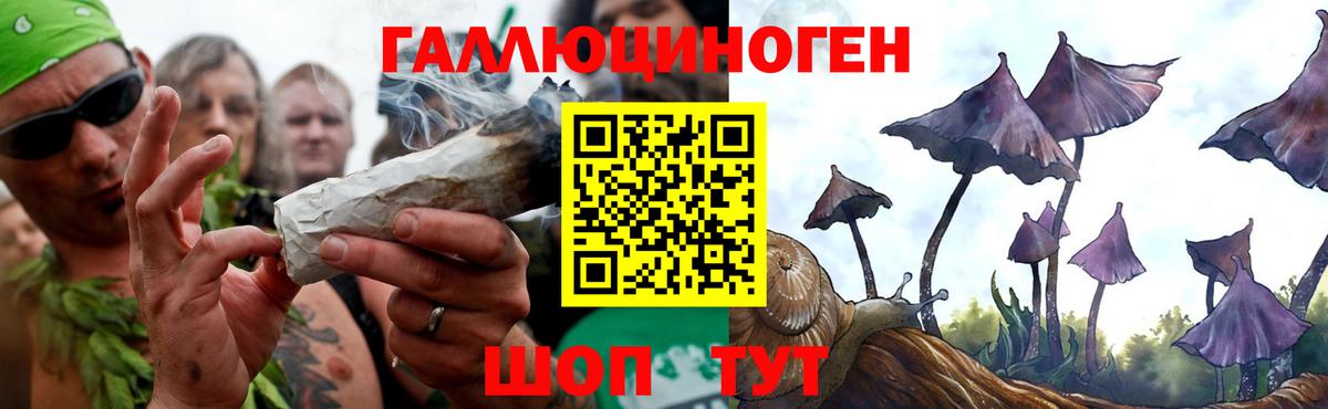 Псилоцибиновые грибы Psilocybe Кумертау